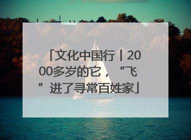 文化中国行丨2000多岁的它，“飞”进了寻常百姓家