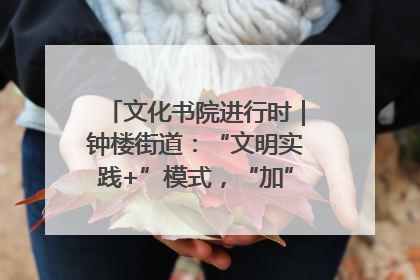 文化书院进行时｜钟楼街道：“文明实践+”模式，“加”出百姓幸福感