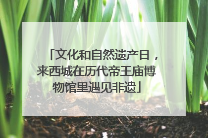 文化和自然遗产日，来西城在历代帝王庙博物馆里遇见非遗