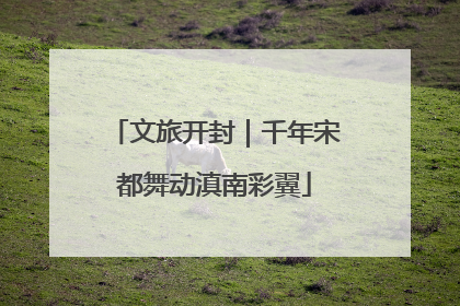 文旅开封｜千年宋都舞动滇南彩翼