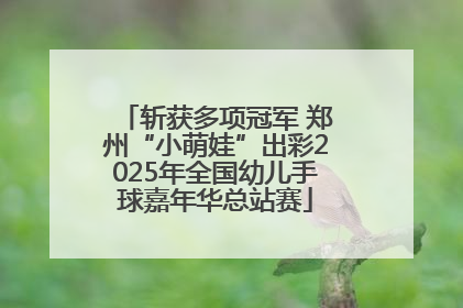 斩获多项冠军 郑州“小萌娃”出彩2025年全国幼儿手球嘉年华总站赛
