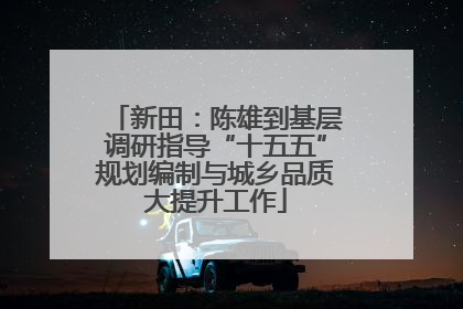 新田：陈雄到基层调研指导“十五五”规划编制与城乡品质大提升工作