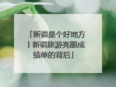 新疆是个好地方丨新疆旅游亮眼成绩单的背后