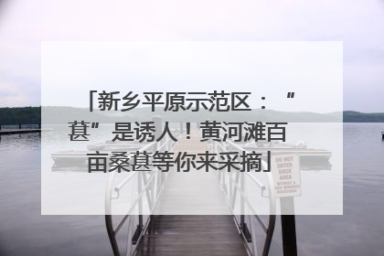 新乡平原示范区：“葚”是诱人！黄河滩百亩桑葚等你来采摘