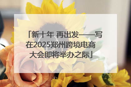 新十年 再出发——写在2025郑州跨境电商大会即将举办之际