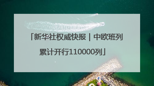 新华社权威快报｜中欧班列累计开行110000列