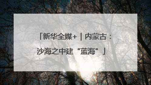 新华全媒+｜内蒙古：沙海之中建“蓝海”