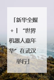 新华全媒+丨“世界机器人嘉年华”在武汉举行
