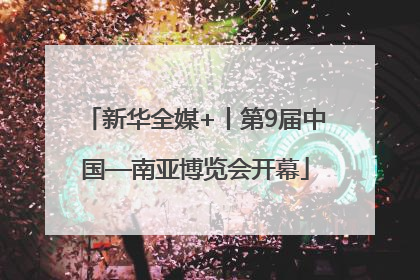 新华全媒+丨第9届中国—南亚博览会开幕