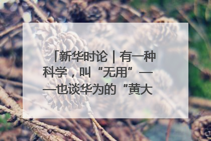 新华时论｜有一种科学，叫“无用”——也谈华为的“黄大年茶思屋”