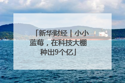 新华财经｜小小蓝莓，在科技大棚种出9个亿
