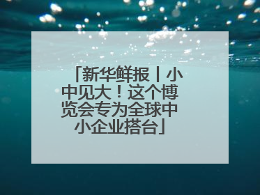新华鲜报丨小中见大！这个博览会专为全球中小企业搭台