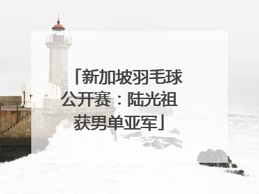 新加坡羽毛球公开赛：陆光祖获男单亚军
