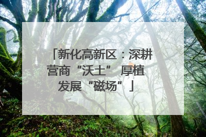 新化高新区：深耕营商“沃土” 厚植发展“磁场”