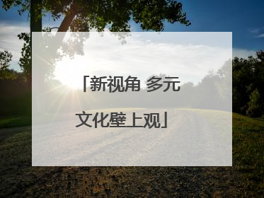 新视角 多元文化壁上观
