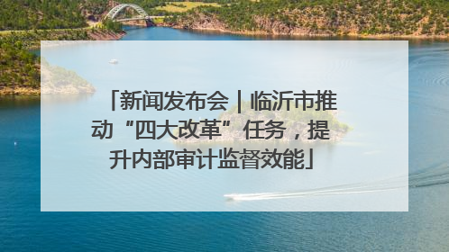 新闻发布会｜临沂市推动“四大改革”任务，提升内部审计监督效能