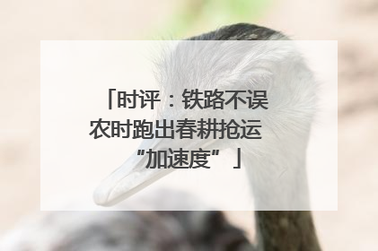 时评：铁路不误农时跑出春耕抢运“加速度”