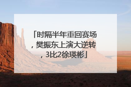 时隔半年重回赛场，樊振东上演大逆转，3比2徐瑛彬