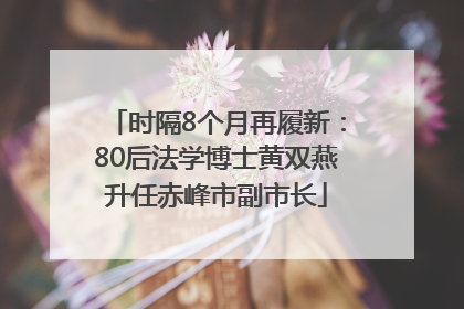 时隔8个月再履新：80后法学博士黄双燕升任赤峰市副市长