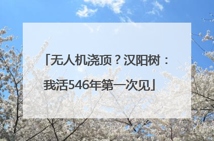 无人机浇顶？汉阳树：我活546年第一次见
