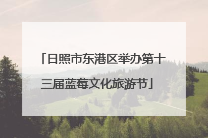 日照市东港区举办第十三届蓝莓文化旅游节