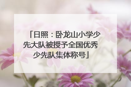 日照：卧龙山小学少先大队被授予全国优秀少先队集体称号