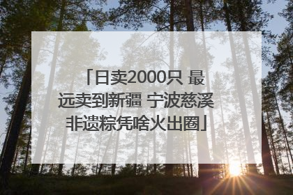 日卖2000只 最远卖到新疆 宁波慈溪非遗粽凭啥火出圈