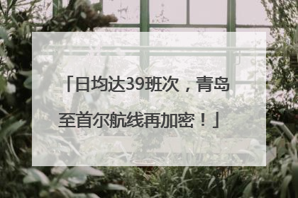 日均达39班次，青岛至首尔航线再加密！