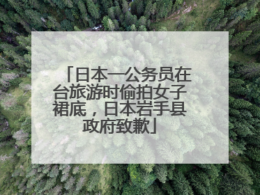日本一公务员在台旅游时偷拍女子裙底，日本岩手县政府致歉