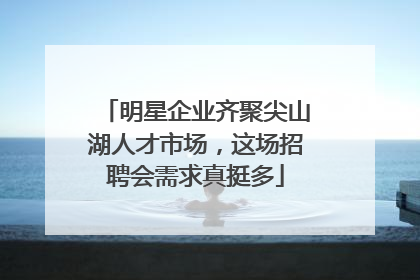 明星企业齐聚尖山湖人才市场，这场招聘会需求真挺多