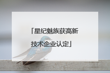 星纪魅族获高新技术企业认定