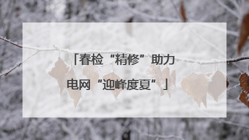 春检“精修”助力电网“迎峰度夏”