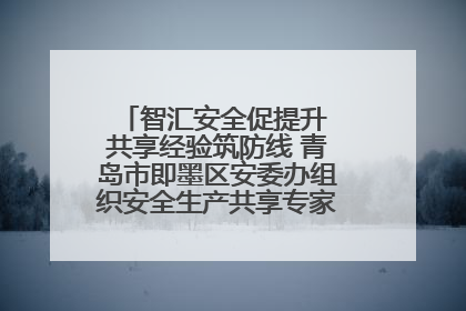 智汇安全促提升 共享经验筑防线 青岛市即墨区安委办组织安全生产共享专家现场观摩学习活动