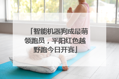 智能机器狗成最萌领跑员，平阳红色越野跑今日开赛