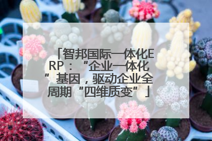 智邦国际一体化ERP：“企业一体化”基因，驱动企业全周期“四维质变”
