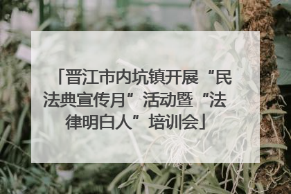 晋江市内坑镇开展“民法典宣传月”活动暨“法律明白人”培训会