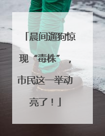 晨间遛狗惊现“毒株”，市民这一举动亮了！