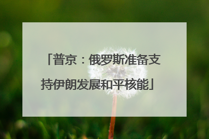 普京：俄罗斯准备支持伊朗发展和平核能