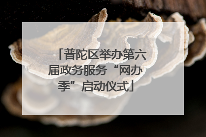 普陀区举办第六届政务服务“网办季”启动仪式