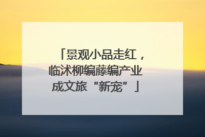 景观小品走红，临沭柳编藤编产业成文旅“新宠”