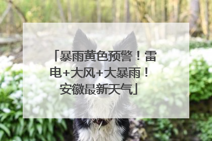 暴雨黄色预警！雷电+大风+大暴雨！安徽最新天气