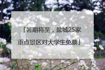 暑期将至，盐城25家重点景区对大学生免票