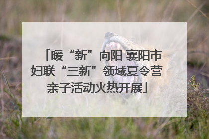 暖“新”向阳 襄阳市妇联“三新”领域夏令营亲子活动火热开展