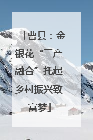 曹县：金银花“三产融合”托起乡村振兴致富梦