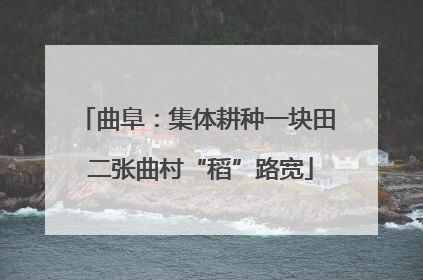 曲阜：集体耕种一块田 二张曲村“稻”路宽