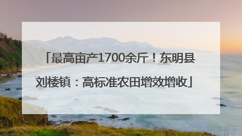 最高亩产1700余斤！东明县刘楼镇：高标准农田增效增收