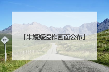 朱媛媛遗作画面公布