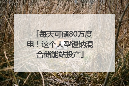 每天可储80万度电！这个大型锂钠混合储能站投产