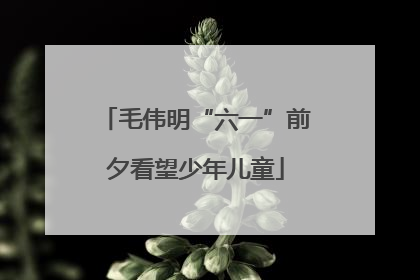 毛伟明“六一”前夕看望少年儿童