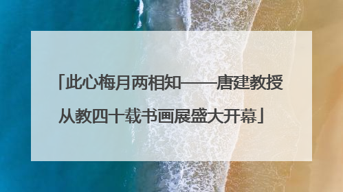 此心梅月两相知——唐建教授从教四十载书画展盛大开幕